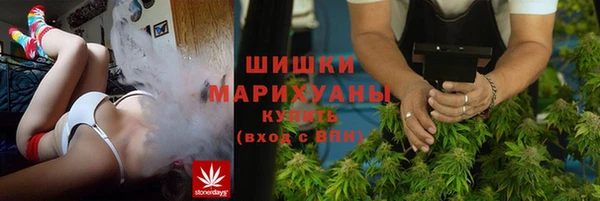 индика Горно-Алтайск