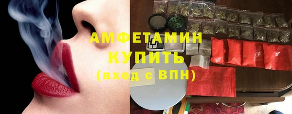 индика Горно-Алтайск