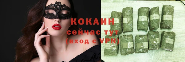 индика Горно-Алтайск