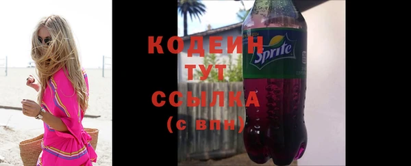 индика Горно-Алтайск