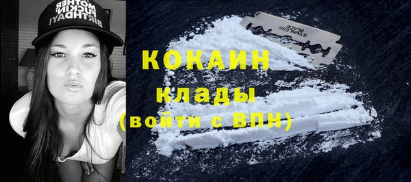 индика Горно-Алтайск