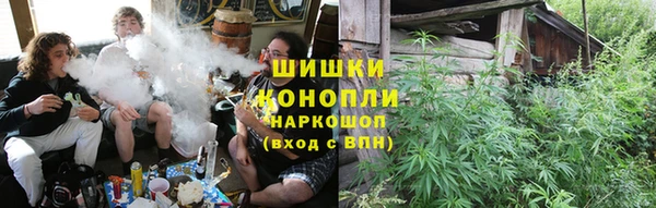 индика Горно-Алтайск