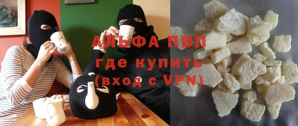 индика Горно-Алтайск