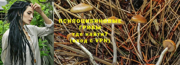 бутират Горняк