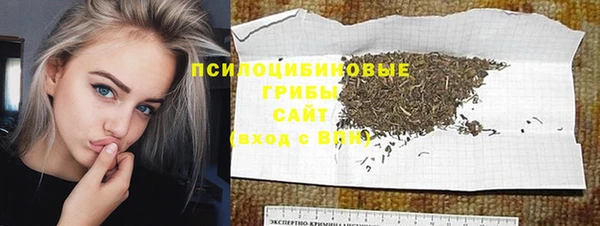 индика Горно-Алтайск