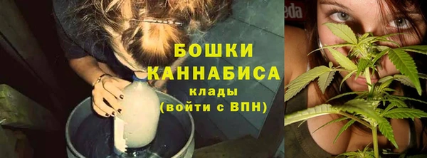 индика Горно-Алтайск