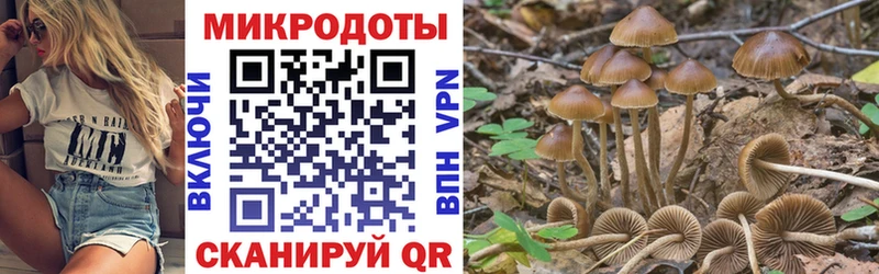 Галлюциногенные грибы мицелий ОМГ ОМГ tor Меленки